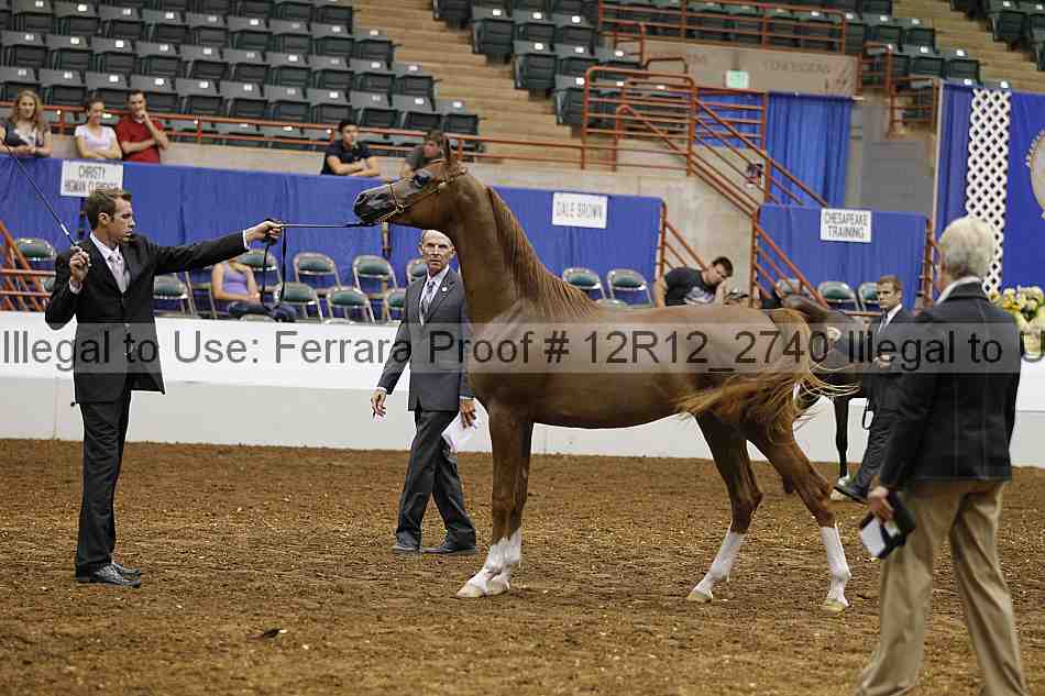 Proof Number 12r12_2740