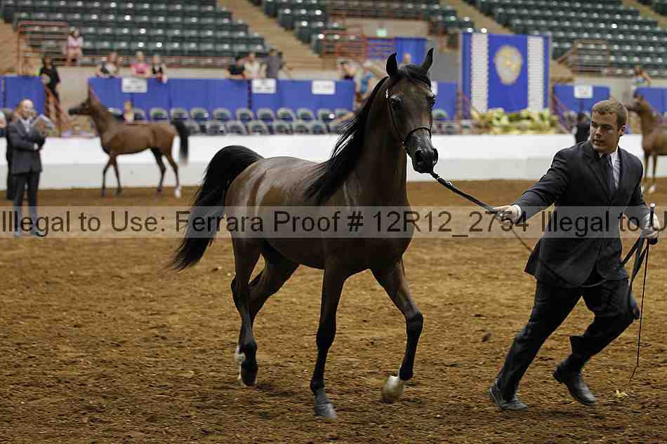 Proof Number 12r12_2754
