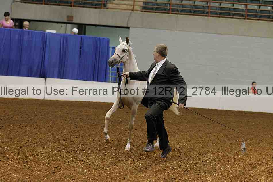 Proof Number 12r12_2784