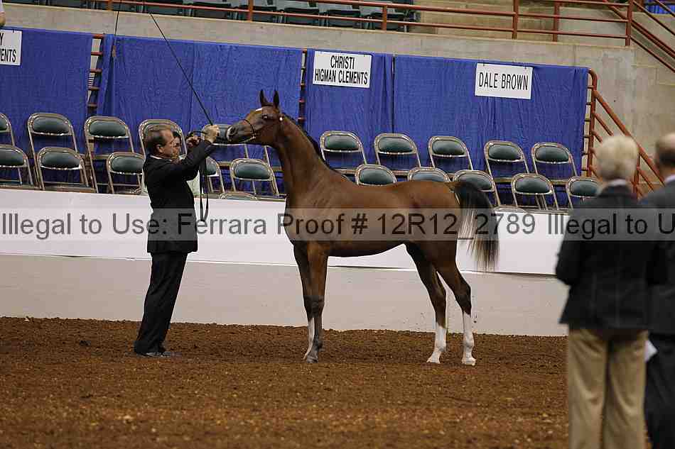 Proof Number 12r12_2789