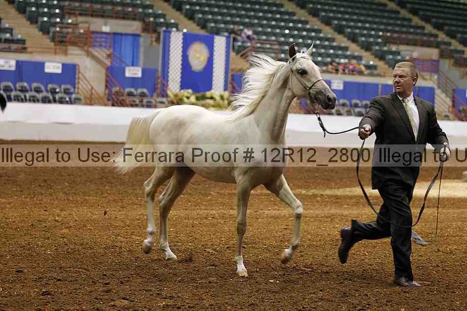 Proof Number 12r12_2800