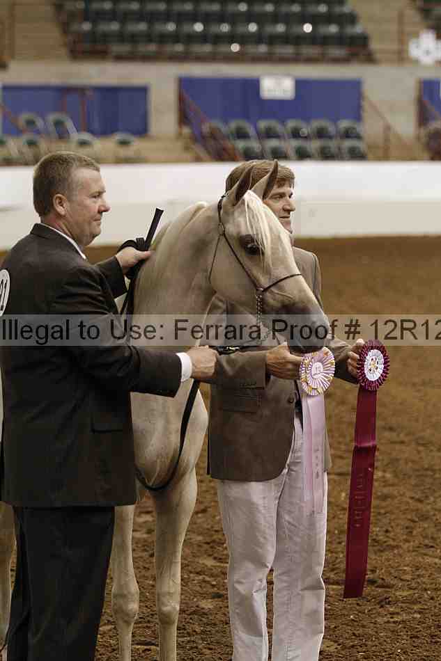 Proof Number 12r12_2805