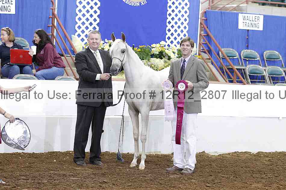 Proof Number 12r12_2807