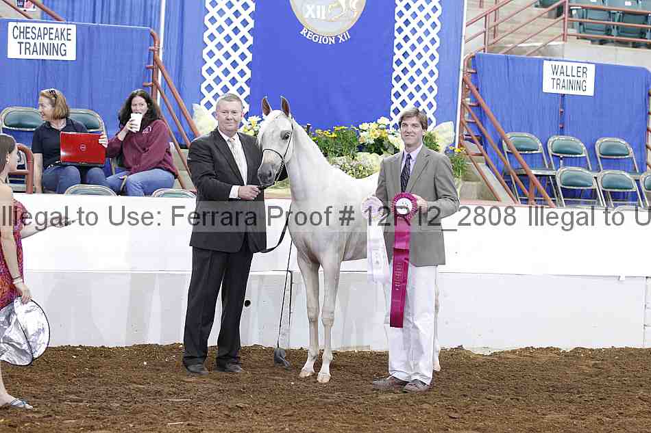 Proof Number 12r12_2808