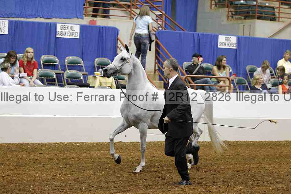 Proof Number 12r12_2826