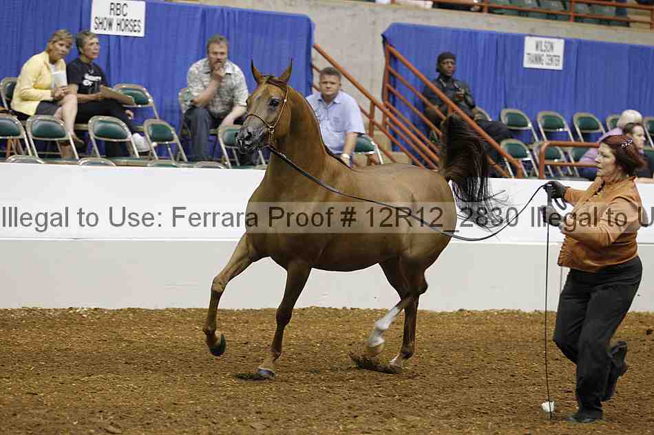 Proof Number 12r12_2830