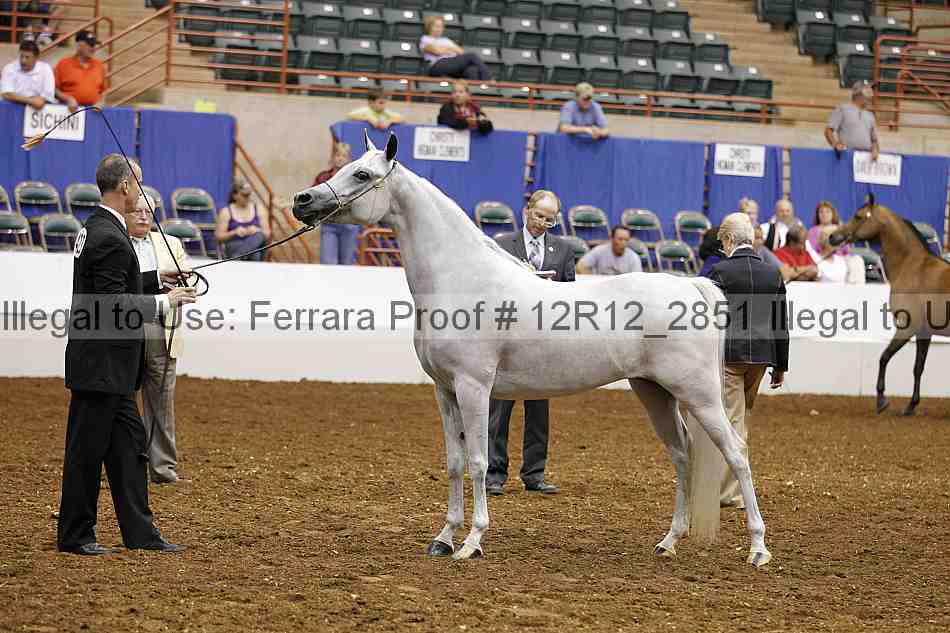 Proof Number 12r12_2851