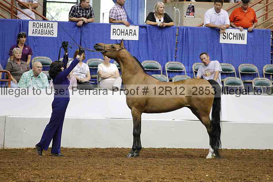 Proof Number 12r12_2853
