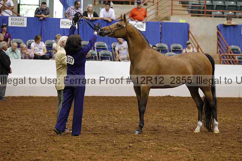 Proof Number 12r12_2855