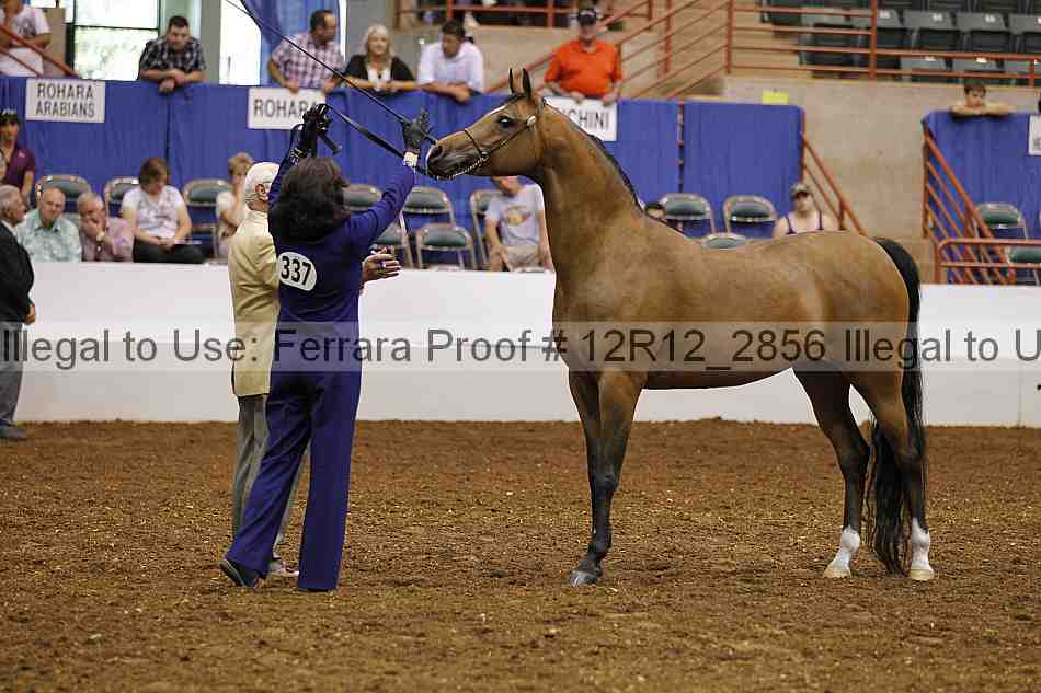 Proof Number 12r12_2856