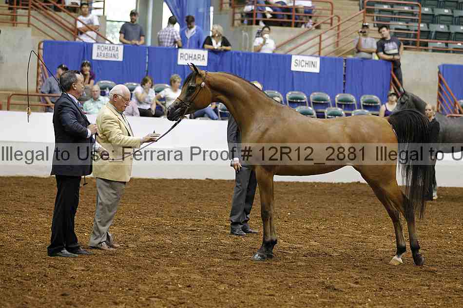 Proof Number 12r12_2881