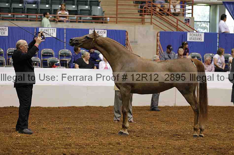 Proof Number 12r12_2895