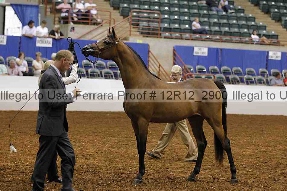Proof Number 12r12_2900