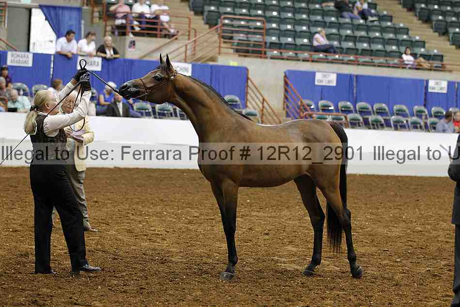 Proof Number 12r12_2901