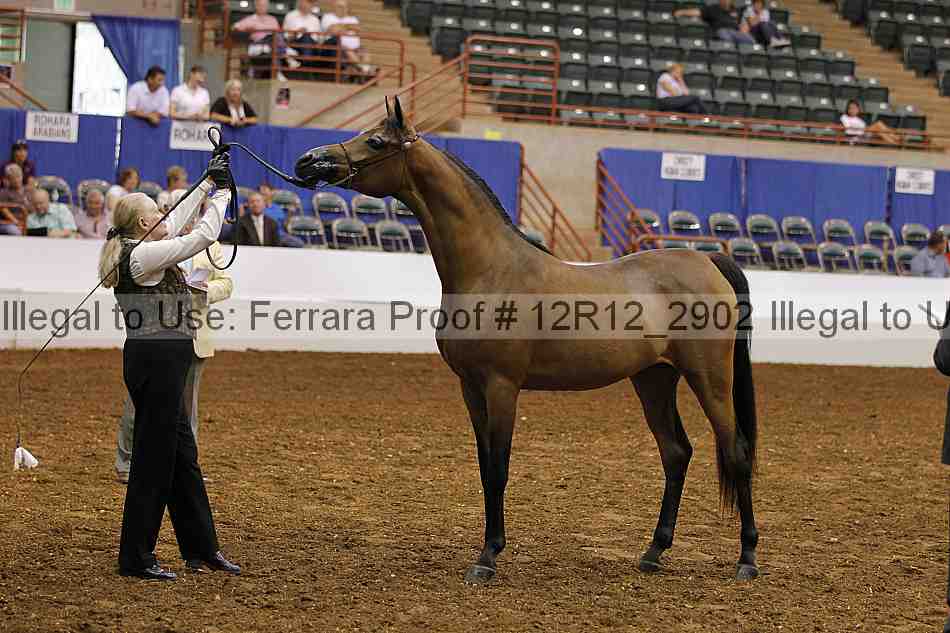 Proof Number 12r12_2902