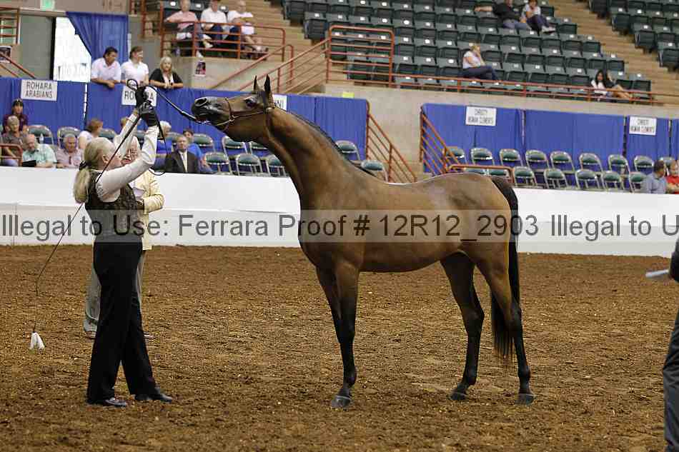 Proof Number 12r12_2903