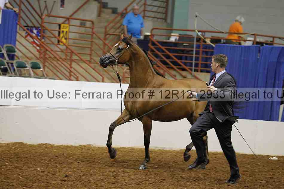Proof Number 12r12_2933