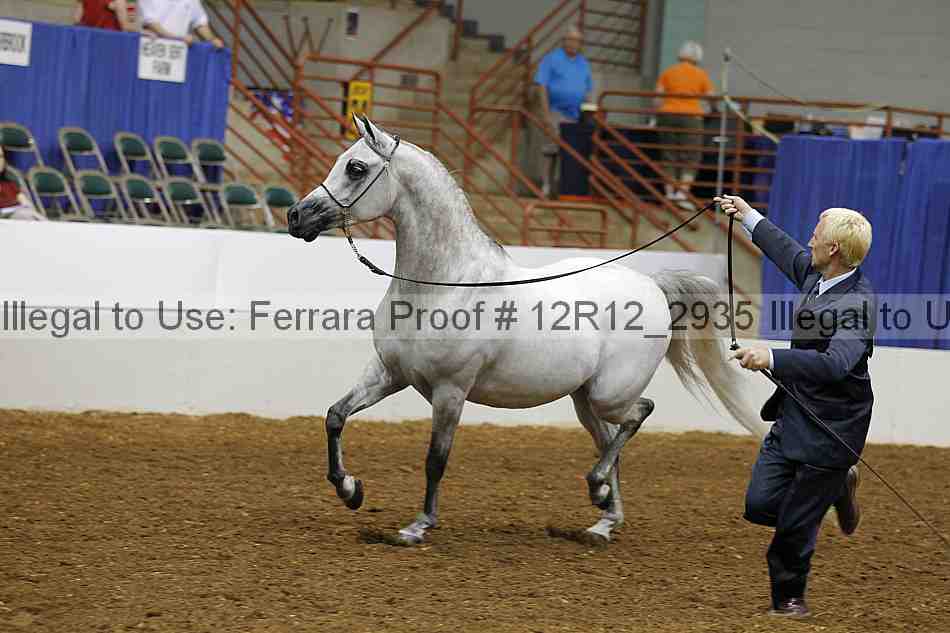 Proof Number 12r12_2935