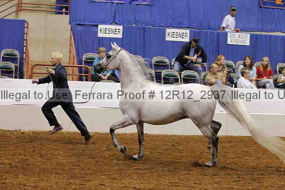 Proof Number 12r12_2937