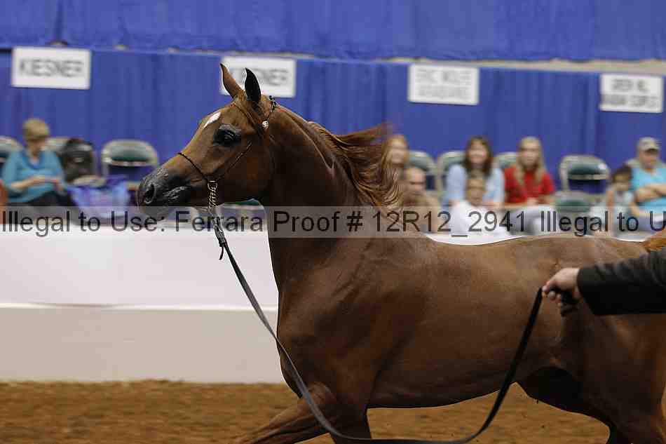 Proof Number 12r12_2941