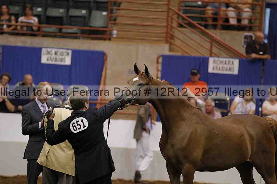 Proof Number 12r12_2957