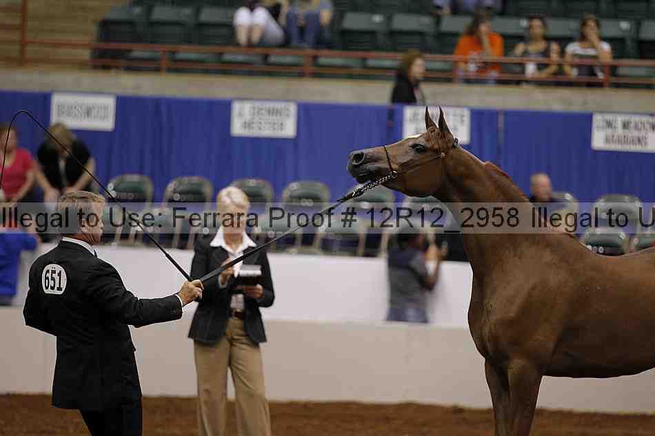Proof Number 12r12_2958