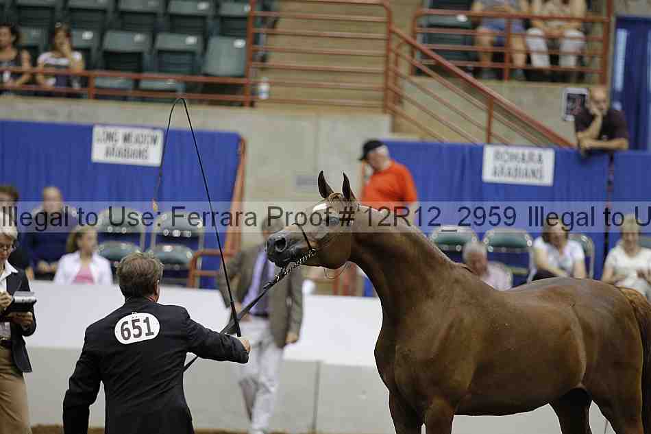 Proof Number 12r12_2959