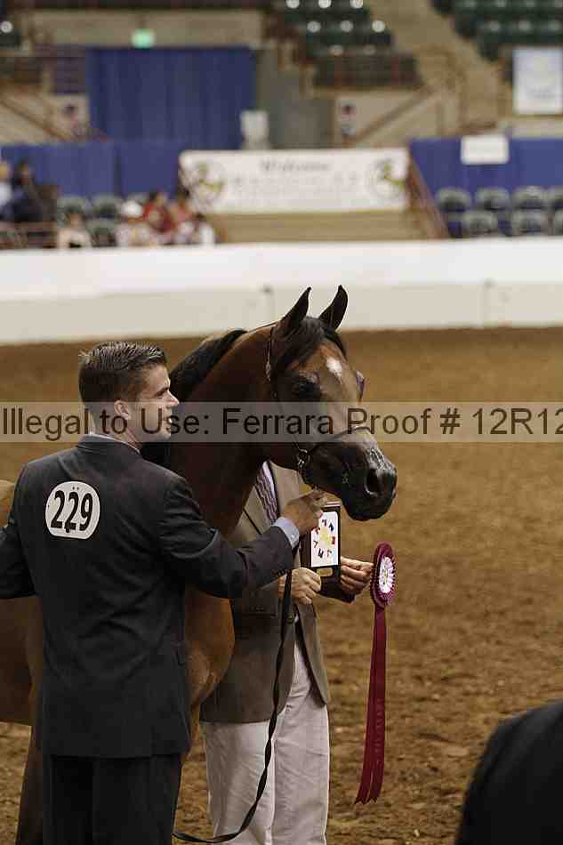 Proof Number 12r12_2976