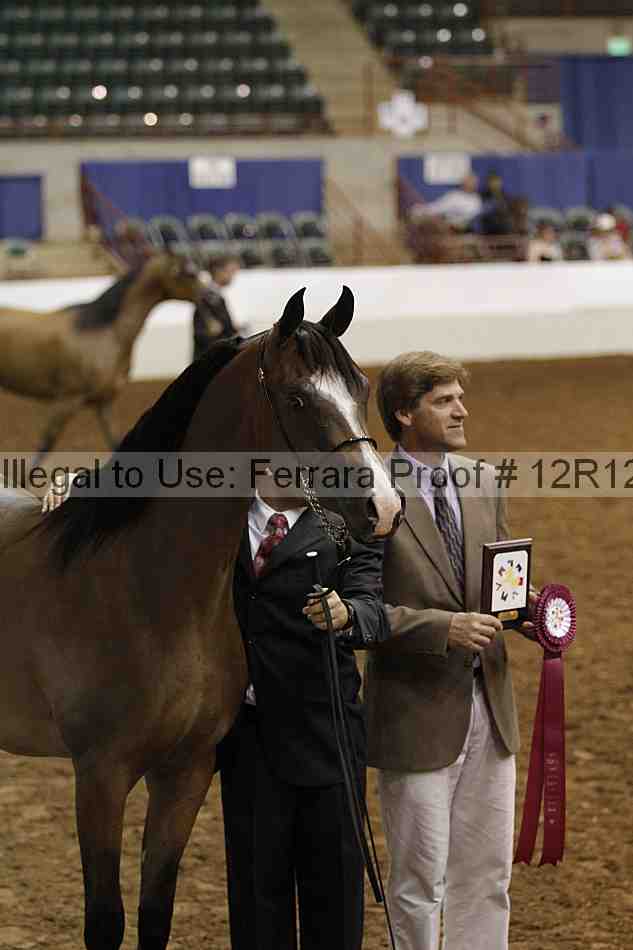 Proof Number 12r12_2979