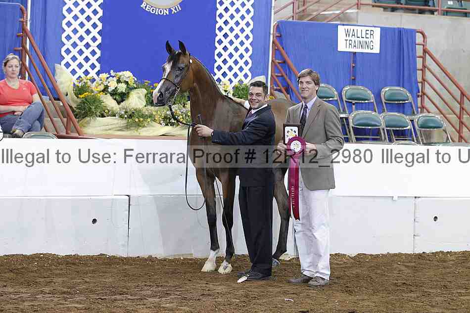 Proof Number 12r12_2980
