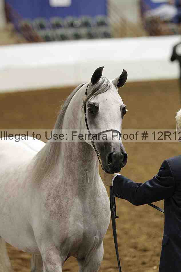 Proof Number 12r12_2984