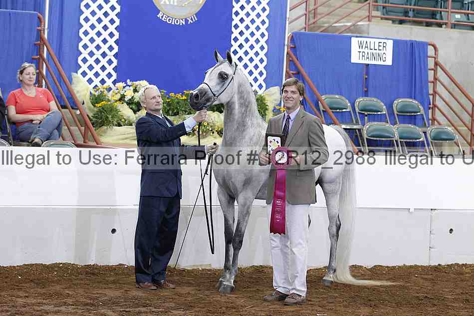 Proof Number 12r12_2988