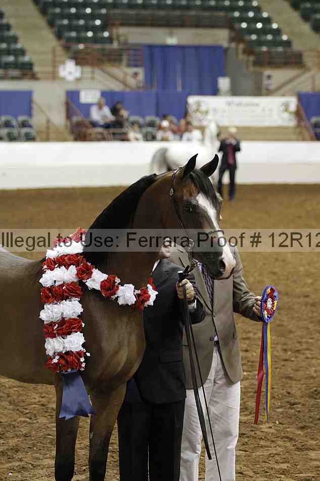 Proof Number 12r12_3010
