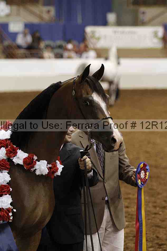 Proof Number 12r12_3011