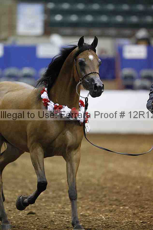 Proof Number 12r12_3016