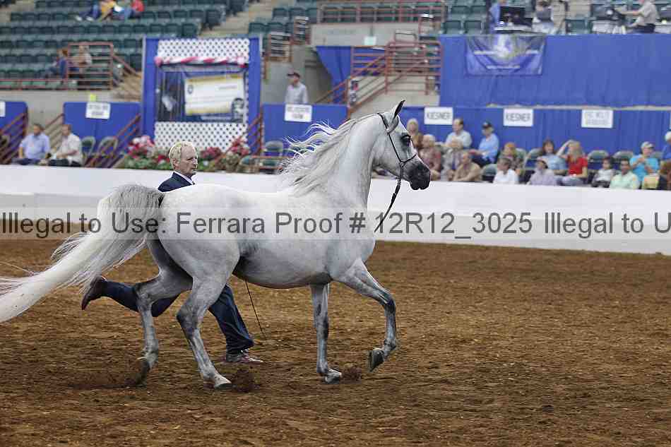 Proof Number 12r12_3025