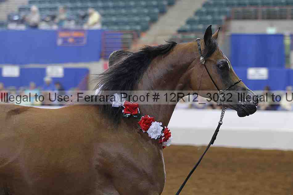 Proof Number 12r12_3032
