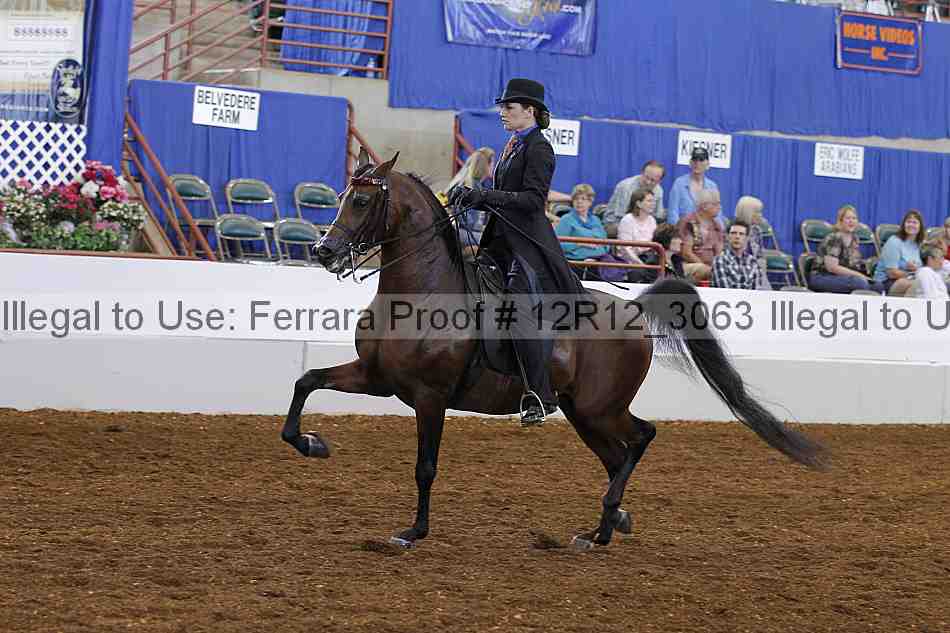 Proof Number 12r12_3063