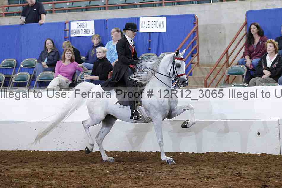 Proof Number 12r12_3065