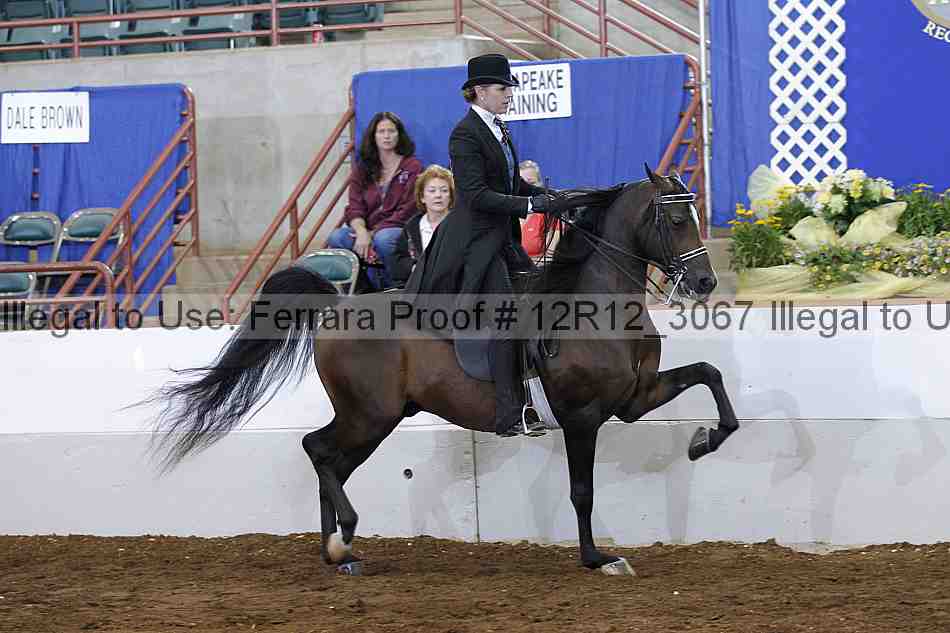 Proof Number 12r12_3067