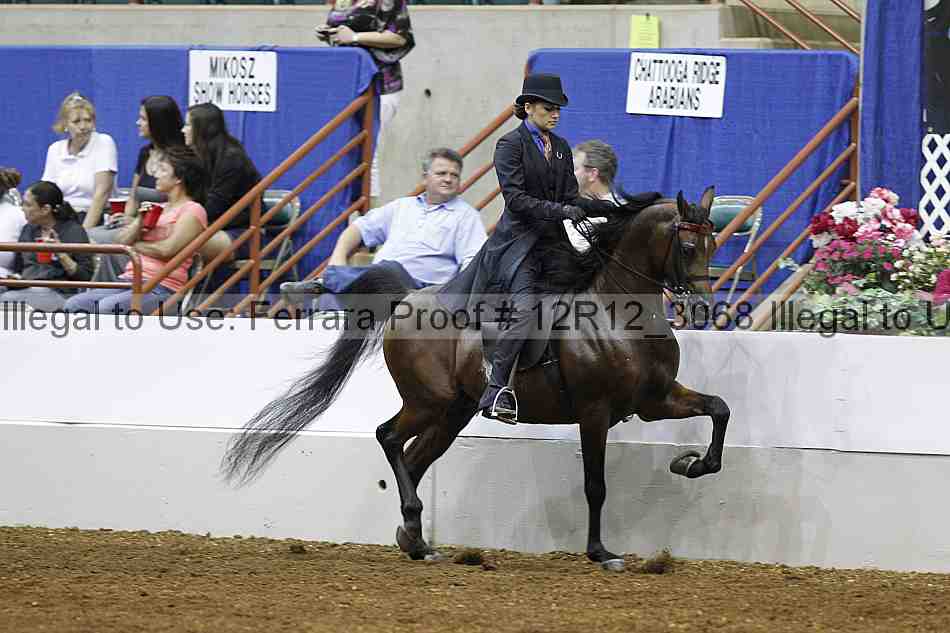 Proof Number 12r12_3068