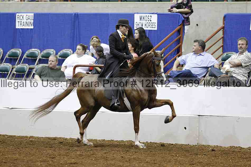 Proof Number 12r12_3069