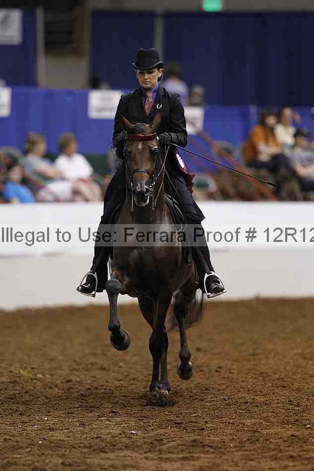 Proof Number 12r12_3076