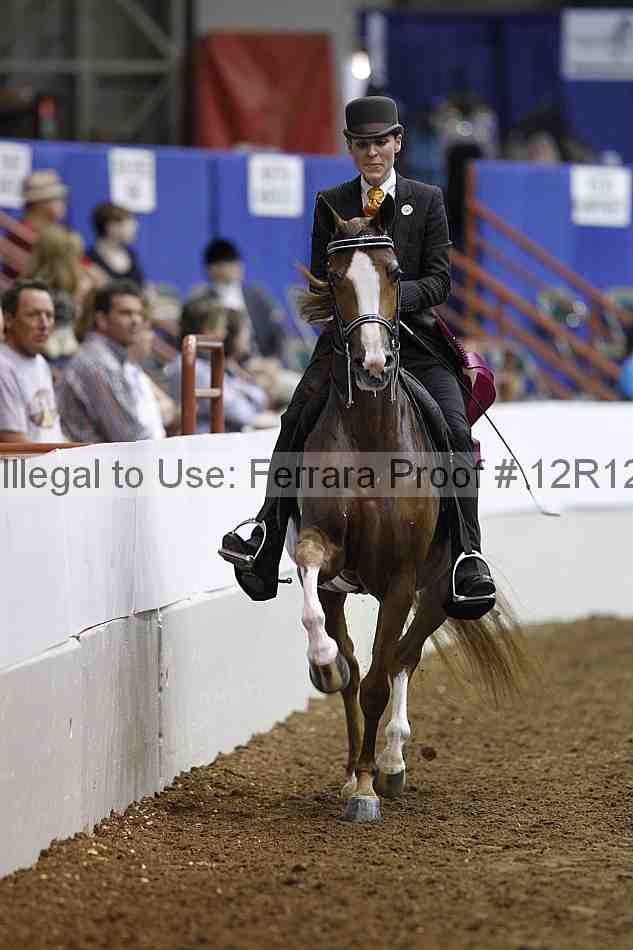 Proof Number 12r12_3079