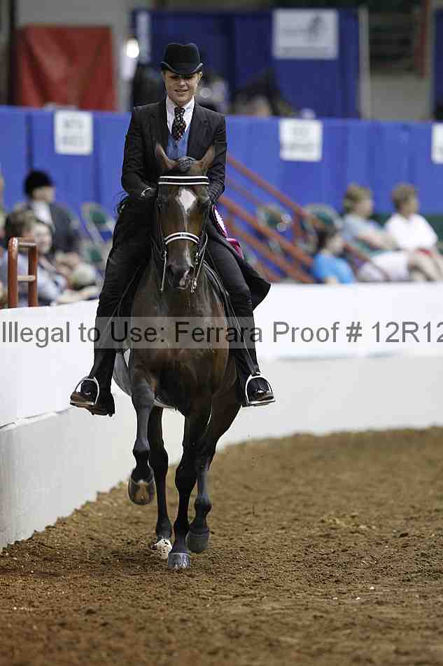 Proof Number 12r12_3080