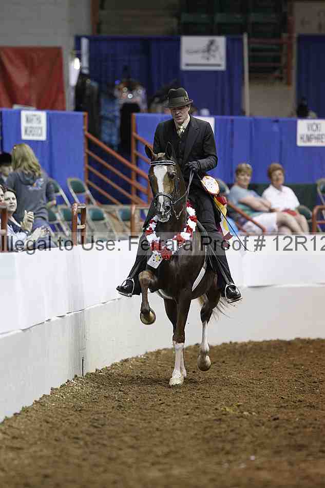 Proof Number 12r12_3081