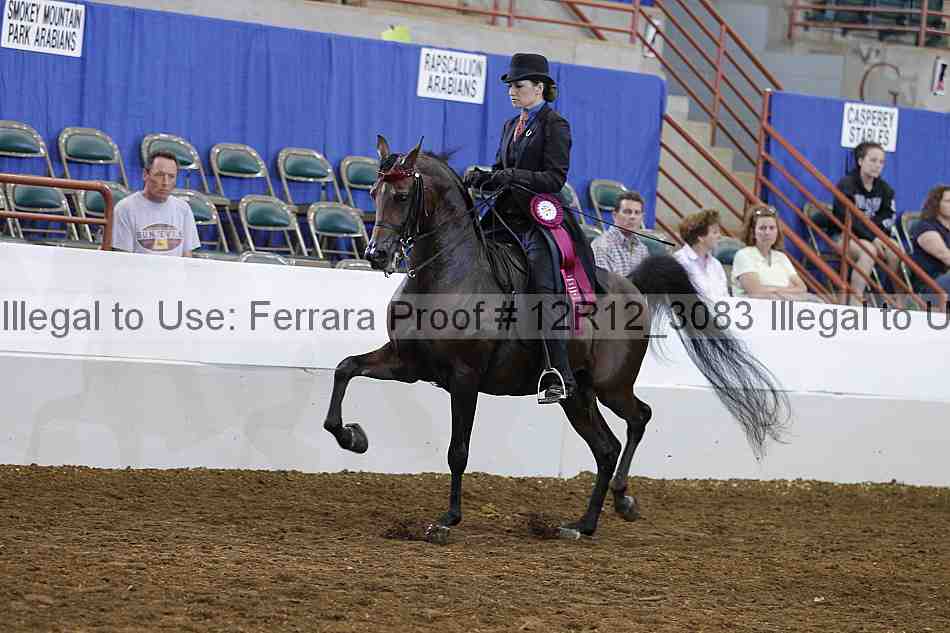 Proof Number 12r12_3083