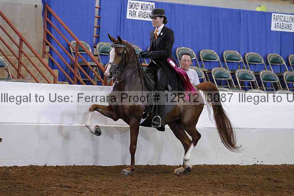Proof Number 12r12_3087