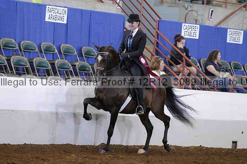 Proof Number 12r12_3089