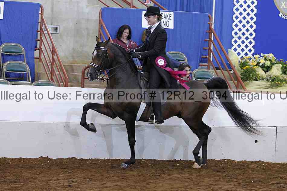 Proof Number 12r12_3094